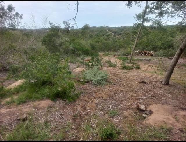 LAND FOR SALE IN WILDERNESS